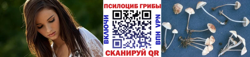 Галлюциногенные грибы Magic Shrooms  где купить наркотик  Краснознаменск 