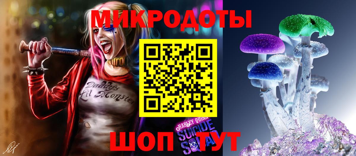 Псилоцибиновые грибы Psilocybe Краснознаменск