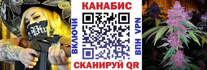 где найти наркотики  Краснознаменск  Каннабис ГИДРОПОН 